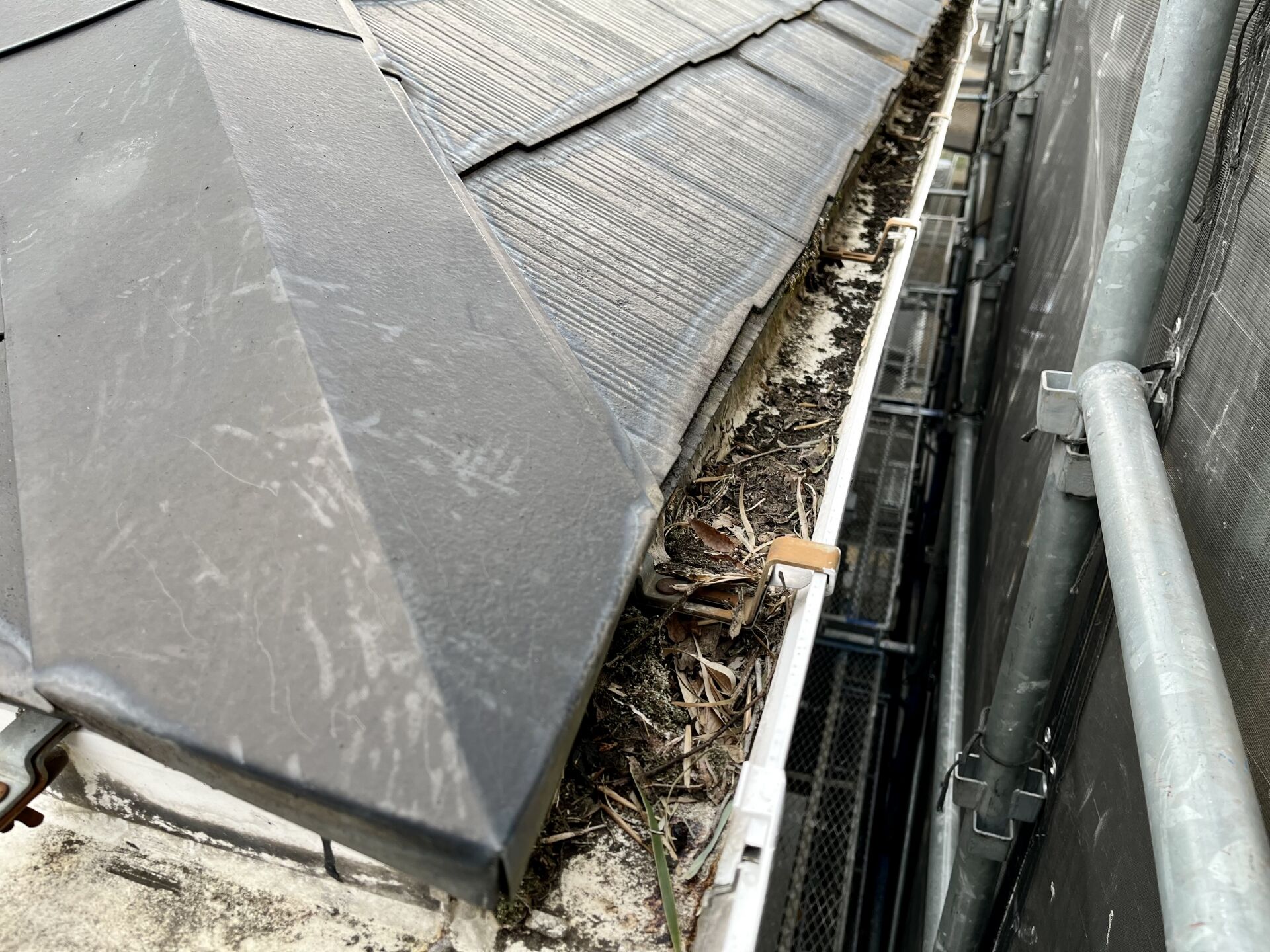 【稲沢市】雨樋修理業者をお探しの方へ｜失敗しないための現地確認と丁寧なご案内